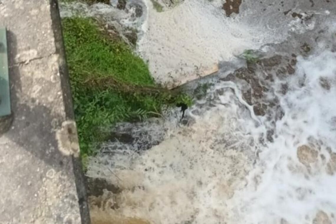 Denunciada nova descarga poluente na Ribeira dos Milagres, em Leiria