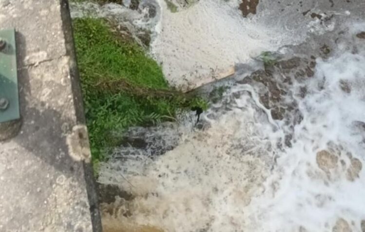Denunciada nova descarga poluente na Ribeira dos Milagres, em Leiria