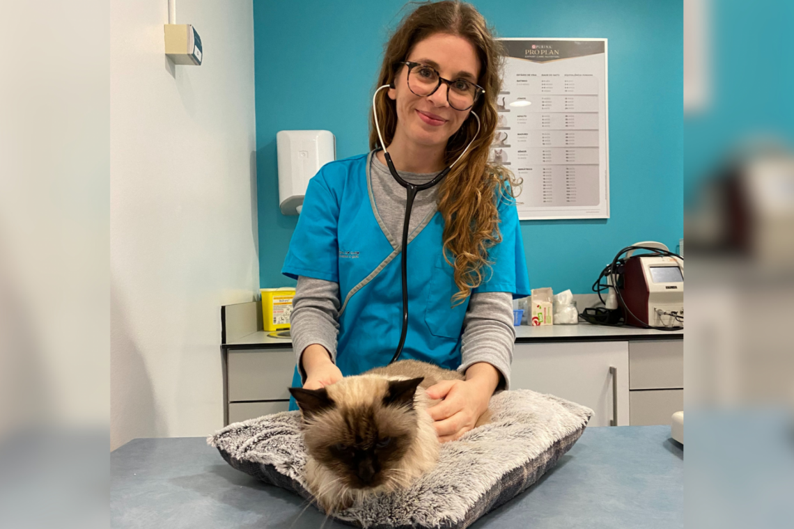 Inês Guerra: “A medicina veterinária costuma estar em lugares silenciosos para que tudo corra bem na sociedade”