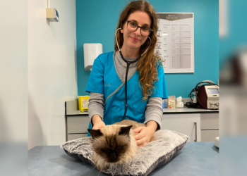 Inês Guerra: “A medicina veterinária costuma estar em lugares silenciosos para que tudo corra bem na sociedade”