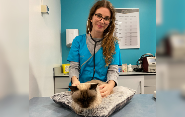 Inês Guerra: “A medicina veterinária costuma estar em lugares silenciosos para que tudo corra bem na sociedade”