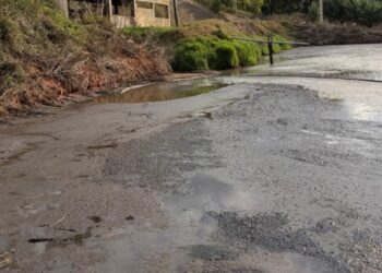 Detectada descarga ilegal de efluentes pecuários para linha de água em Alcobaça