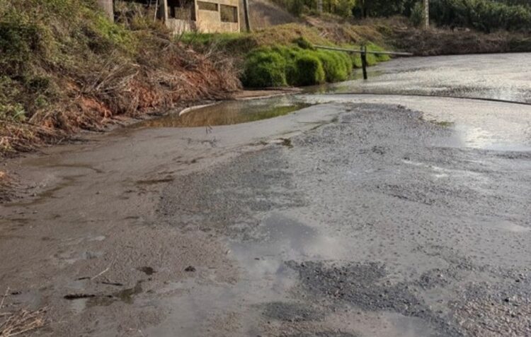 Detectada descarga ilegal de efluentes pecuários para linha de água em Alcobaça