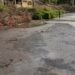 Detectada descarga ilegal de efluentes pecuários para linha de água em Alcobaça