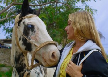Ha Ha Art. 70 filmes de comédia em Pombal para rir e reflectir