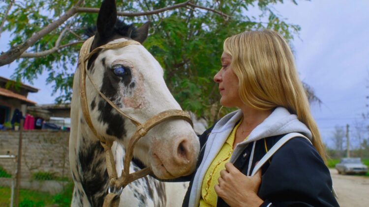 Ha Ha Art. 70 filmes de comédia em Pombal para rir e reflectir