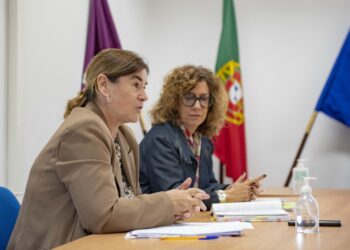 Rápidos e baratos: julgados de paz resolvem litígios de forma amigável