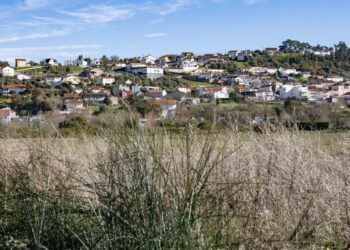 Leiria aumenta área de construção para empresas e equipamentos
