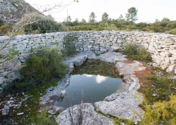 Projecto de restauro da natureza vai abranger Serras de Aire e Candeeiros