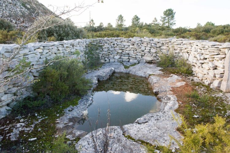 Projecto de restauro da natureza vai abranger Serras de Aire e Candeeiros