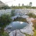 Projecto de restauro da natureza vai abranger Serras de Aire e Candeeiros
