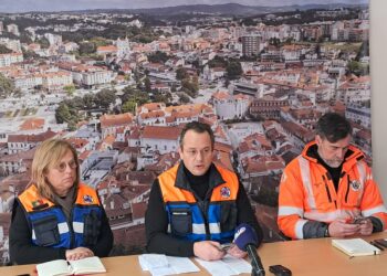 Autarcas de Leiria arrasam E-Redes. Mais de 20 mil clientes sem electricidade há 11 dias