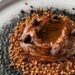 Festival de Chocolate regressa a Óbidos com museu numa edição dedicada à arte