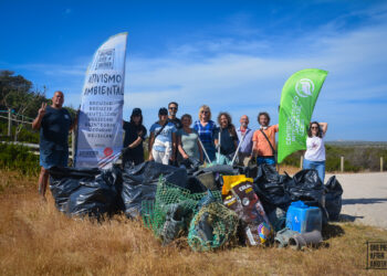 Voluntários limpam Praia do Vigão, no Pedrógão