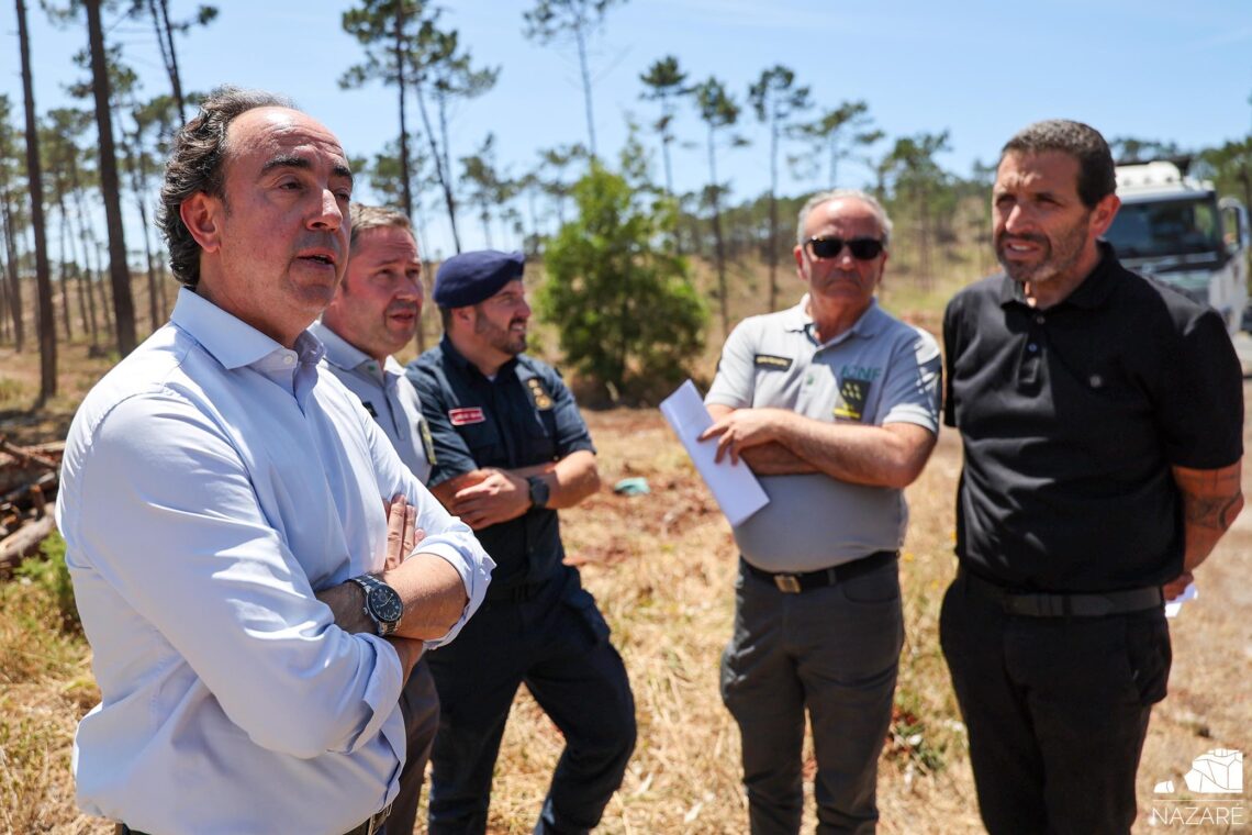Câmaras vão receber 30 milhões para gerir limpeza florestal