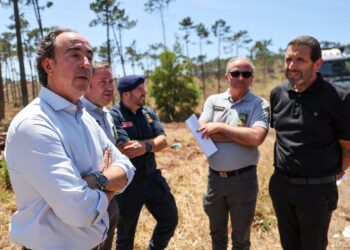 Câmaras vão receber 30 milhões para gerir limpeza florestal