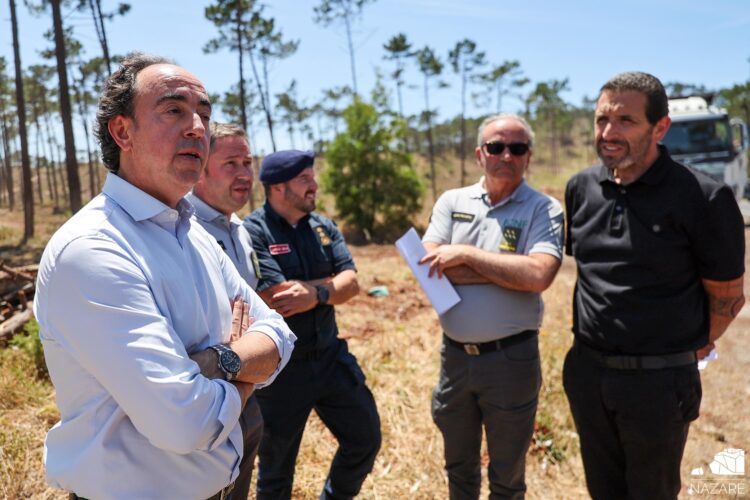 Câmaras vão receber 30 milhões para gerir limpeza florestal
