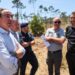 Câmaras vão receber 30 milhões para gerir limpeza florestal