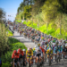 Ciclismo: Granfondo de Leiria adiado para 2027