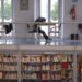 Biblioteca Municipal de Leiria captou 1.360 novos leitores em 2025