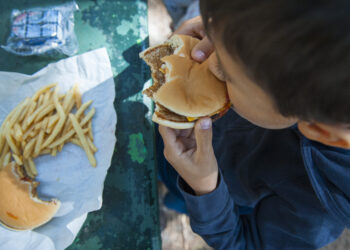 Nutrilândia desconstrói mitos sobre alimentação