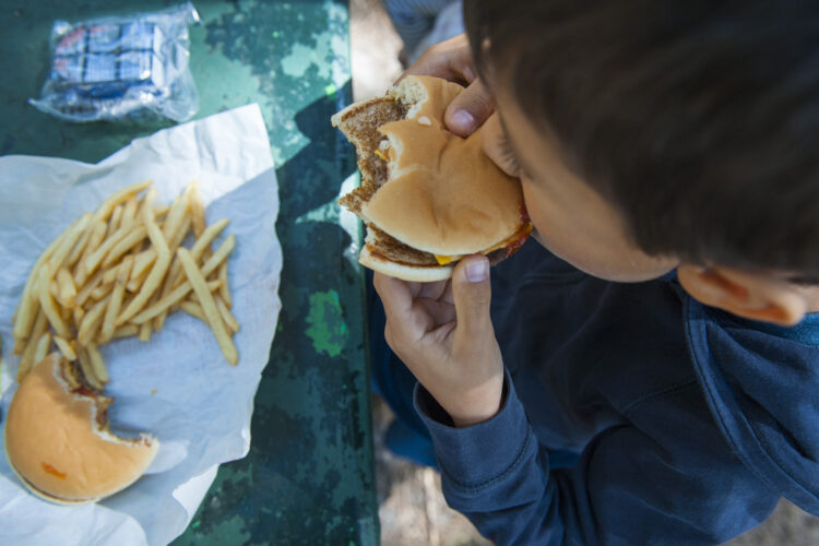 Nutrilândia desconstrói mitos sobre alimentação