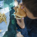 Nutrilândia desconstrói mitos sobre alimentação