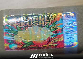 PSP de Peniche detém dois homens e apreende 250 doses de haxixe em cinco dias