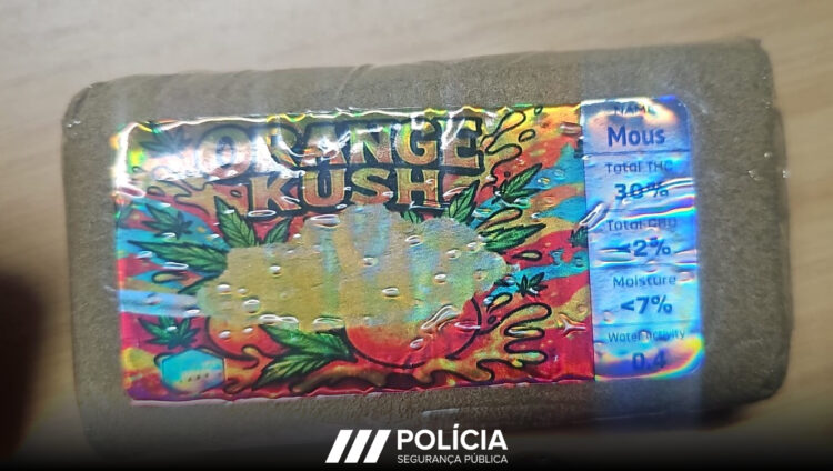 PSP de Peniche detém dois homens e apreende 250 doses de haxixe em cinco dias