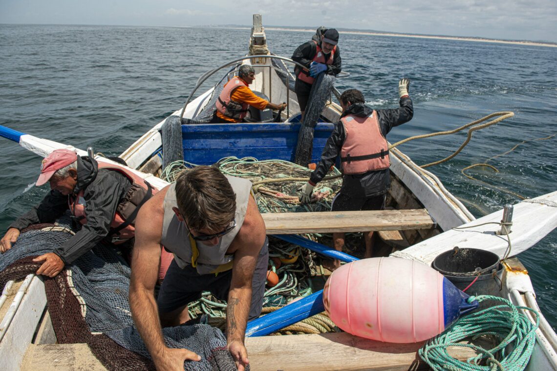 Novo Estatuto do Jovem Pescador