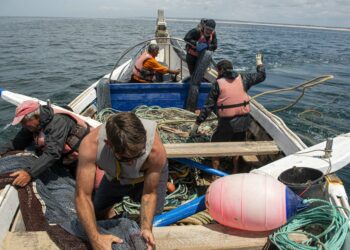 Novo Estatuto do Jovem Pescador