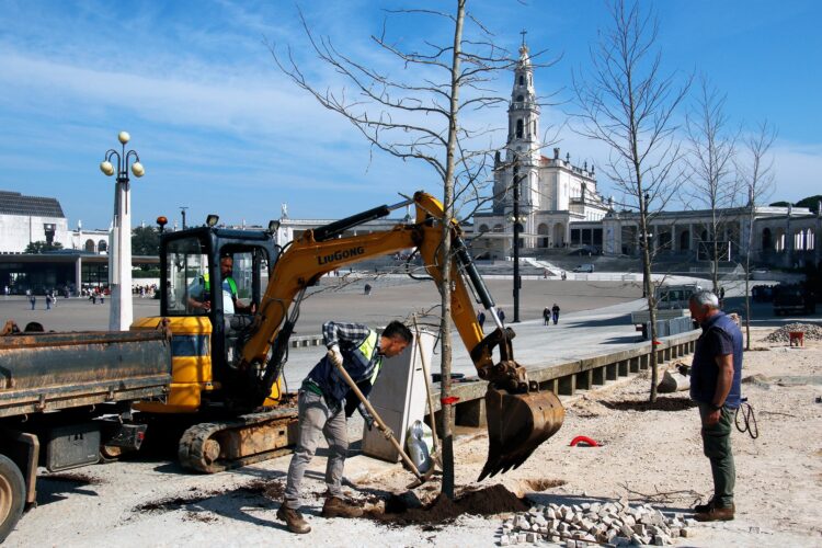 Santuário de Fátima inicia plano de rearborização do recinto de oração