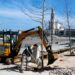 Santuário de Fátima inicia plano de rearborização do recinto de oração