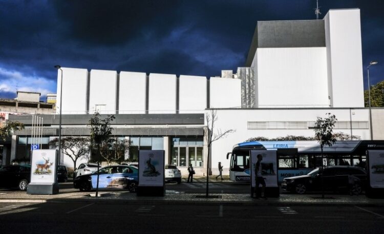Teatros: apoios para TJLS e TMO totalizam 1,6 milhões de euros