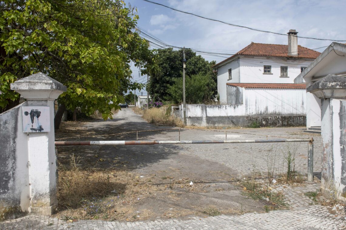 Região avança com agência de habitação para criar 275 casas a preços acessíveis