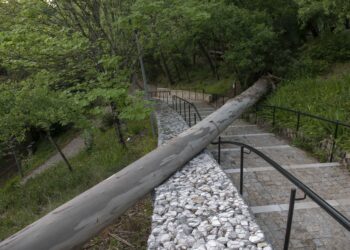 População chamada a limpar Parque do Pisão, que permanece com zonas bloqueadas por árvores caídas