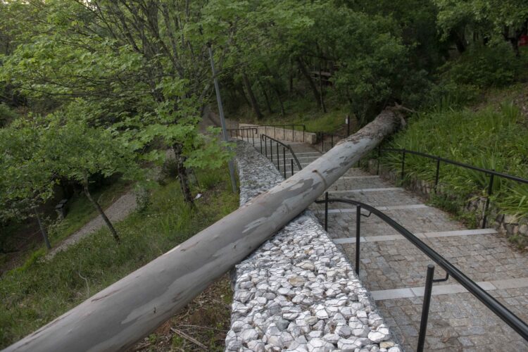 População chamada a limpar Parque do Pisão, que permanece com zonas bloqueadas por árvores caídas