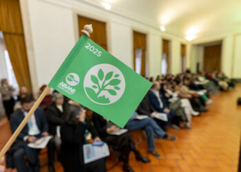 Leiria, Nazaré, Ourém e Pombal integram lista dos municípios mais “sustentáveis” do País