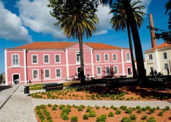 Biblioteca Municipal da Marinha Grande com abertura condicionada