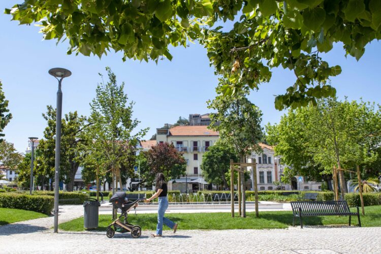 Leiria avança com criação de “abrigos climáticos” na cidade e bairros à volta