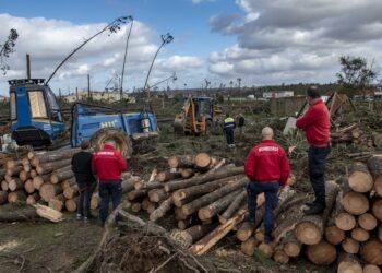 Projectos finalistas do SOS Bairro ajudarão a reerguer Leiria e Marinha Grande