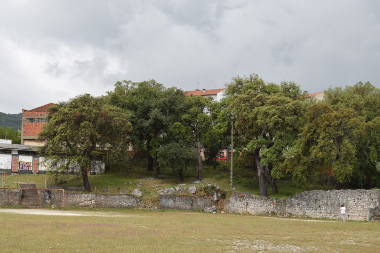 Luz verde para compra do Campo da Fiandeira, em Mira de Aire