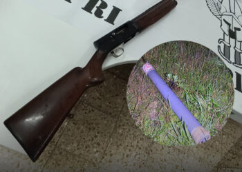 Homem desfaz-se de arma quando estava a ser perseguido pela PSP na Marinha Grande