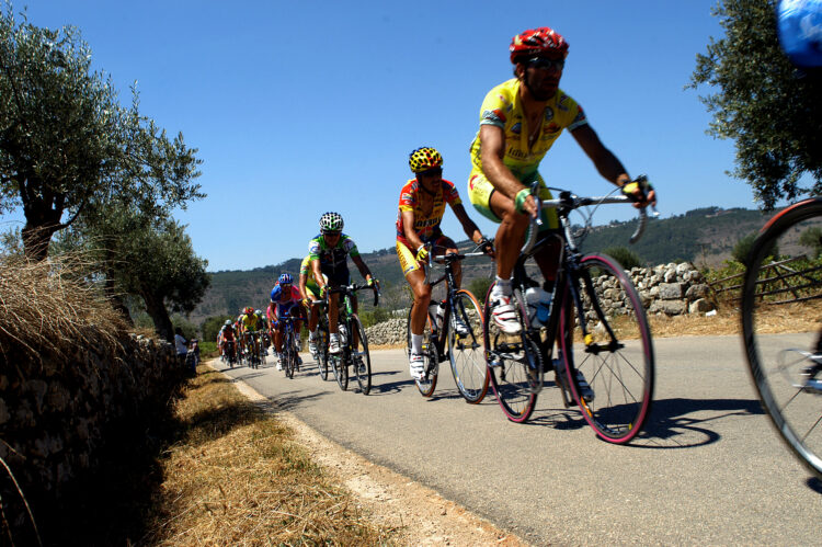 Terras de Sicó acolhem nova prova do calendário nacional de ciclismo