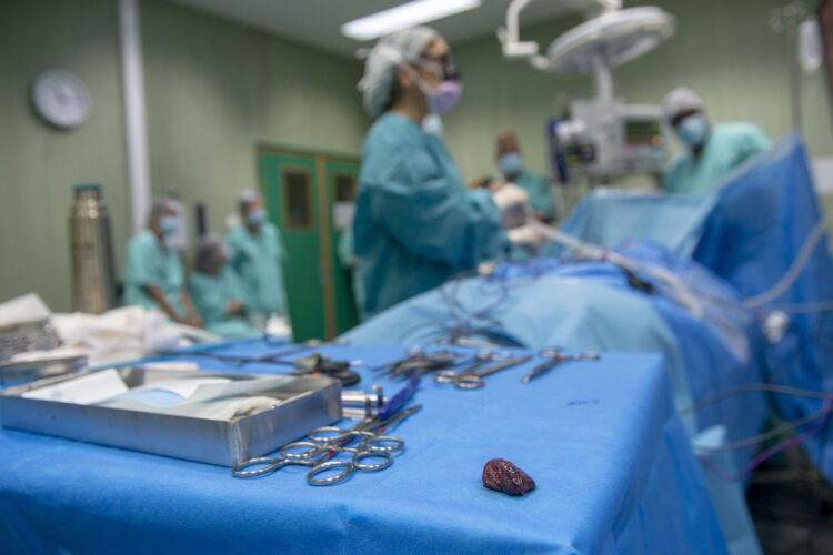 Hospital de Leiria garante reforço de quatro salas de cirurgia ortopédica e mantém actividade oncológica a funcionar