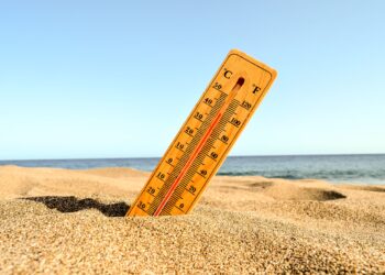 Calor coloca Leiria em aviso vermelho a partir de sexta-feira