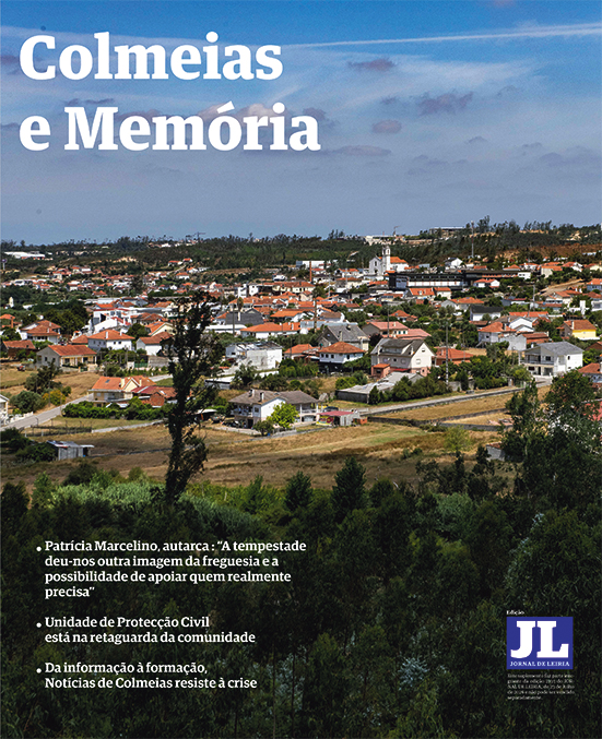 Colmeias e Memória