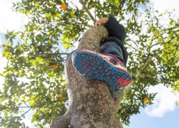 Brincar no Recreio: porque a felicidade também se aprende com divertimento