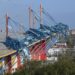 Leiria avança com obras de 3,8 milhões de euros para reparar coberturas de estádio e de sete pavilhões