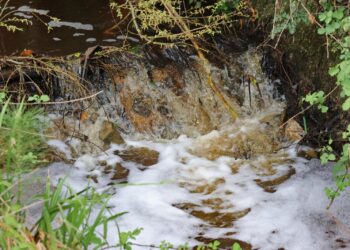 AdCL assume responsabilidade por descarga que poluiu Ribeira do Picheleiro, na Barosa, Leiria